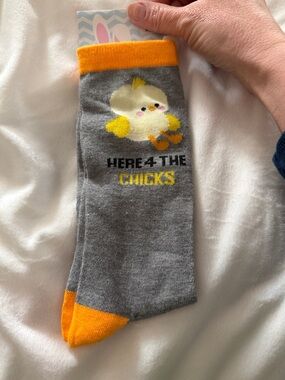 Gray & Yellow Chick Novelty Socks